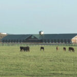 社台SSから追い出されそうな種牡馬予想2025