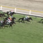 【関屋記念2025】出走予定馬・騎手/斤量差も相まって