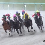 【競馬】ダートの超大物グレイトパールって一体どこまで強いんだ?