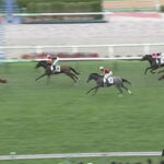 【2歳新馬】圧倒的人気ハムタン弱すぎwww