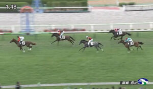 【2歳新馬】圧倒的人気ハムタン弱すぎｗｗｗ