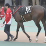 【競馬予想】[1] 第42回東海ステークス(GⅢ) /2025