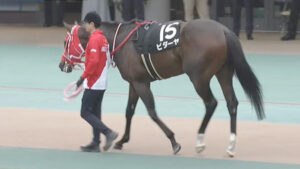 【競馬予想】[1] 第42回東海ステークス(GⅢ) /2025