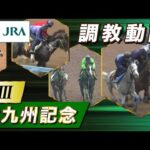 【調教動画】2025年 北九州記念|JRA公式