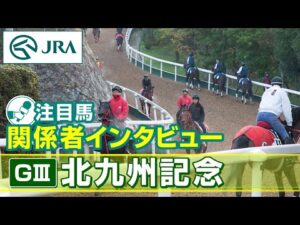 【注目馬 関係者インタビュー】2025年 北九州記念｜JRA公式