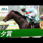 2017年 七夕賞(GⅢ) | ゼーヴィント | JRA公式