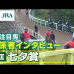 【注目馬 関係者インタビュー】2025年 七夕賞|JRA公式