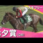 2025年 七夕賞(GⅢ) コスモフリーゲン 【カンテレ公式】