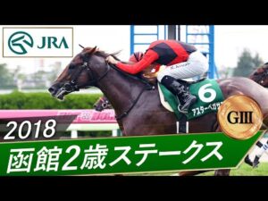 2018年 函館2歳ステークス（GⅢ） | アスターペガサス | JRA公式