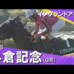 2025年 小倉記念(GⅢ) イングランドアイズ 【カンテレ公式】