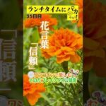 【新企画!ブレイクタイム競馬!】次世代競馬芸人がランチタイムに競馬予想!もういっちょ!とん平が500円で馬券勝負!7/23、35日目の結果は!?【カンテレ競馬×そのだけいばコラボ・新企画】