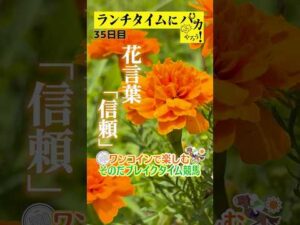 【新企画!ブレイクタイム競馬!】次世代競馬芸人がランチタイムに競馬予想!もういっちょ!とん平が500円で馬券勝負!7/23、35日目の結果は!?【カンテレ競馬×そのだけいばコラボ・新企画】