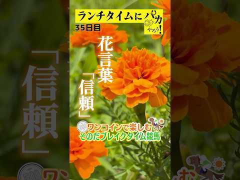 【新企画!ブレイクタイム競馬!】次世代競馬芸人がランチタイムに競馬予想!もういっちょ!とん平が500円で馬券勝負!7/23、35日目の結果は!?【カンテレ競馬×そのだけいばコラボ・新企画】
