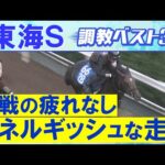 【3週連続調教診断上位馬が激走!】ビダーヤ、ヤマニンウルス、サンライズフレイム・・・競馬エイト・高橋賢司トラックマンの調教解説<東海ステークス(GⅢ)>