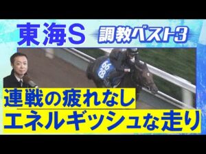【３週連続調教診断上位馬が激走！】ビダーヤ、ヤマニンウルス、サンライズフレイム・・・競馬エイト・高橋賢司トラックマンの調教解説＜東海ステークス(ＧⅢ)＞