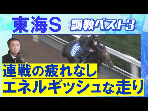 【3週連続調教診断上位馬が激走!】ビダーヤ、ヤマニンウルス、サンライズフレイム・・・競馬エイト・高橋賢司トラックマンの調教解説<東海ステークス(GⅢ)>