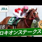 2018年 プロキオンステークス(GⅢ) | マテラスカイ | JRA公式