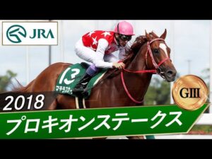 2018年 プロキオンステークス（GⅢ） | マテラスカイ | JRA公式
