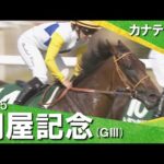 2025年 関屋記念(GⅢ) カナテープ 【カンテレ公式】