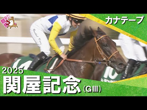2025年 関屋記念(GⅢ) カナテープ 【カンテレ公式】