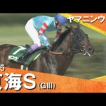 【ヤマニンウルス 武豊騎手に導かれ約1年ぶりの復活V!】2025年 東海ステークス(GⅢ) 【カンテレ公式】