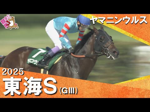 【ヤマニンウルス 武豊騎手に導かれ約1年ぶりの復活V!】2025年 東海ステークス(GⅢ) 【カンテレ公式】