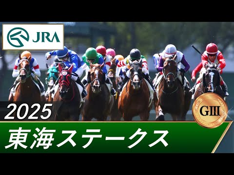 2025年 東海ステークス(GⅢ) | 第42回 | JRA公式