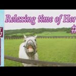 名馬放牧集 ~Relaxing time of Heroes~ #1