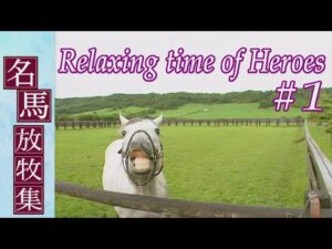 名馬放牧集　～Relaxing time of Heroes～　#1