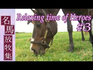 名馬放牧集　～Relaxing time of Heroes～　#3