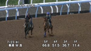 【関屋記念2025】追い切り/調教を見てわかる事