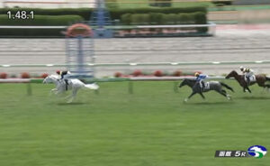 【2歳新馬】マルガ強すぎワロタw w w w