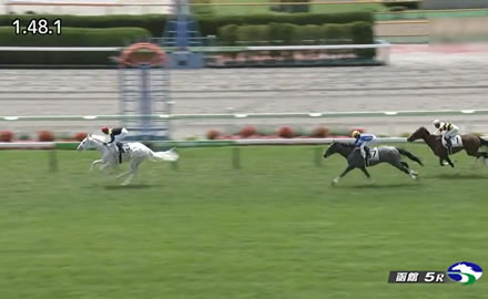 【2歳新馬】マルガ強すぎワロタw w w w