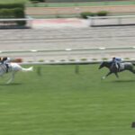 マルガがレコードタイムで圧勝/動画・結果【2歳新馬戦】