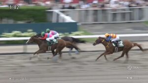 【エルムステークス2025】出走予定馬・騎手/反転攻勢