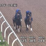 【七夕賞2025】追い切り/動きを見極め勝利に近づけ