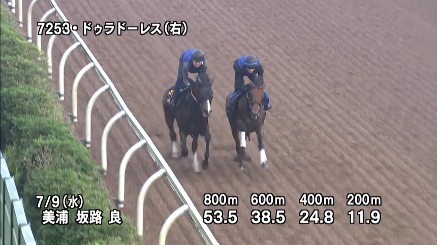 【七夕賞2025】追い切り/動きを見極め勝利に近づけ