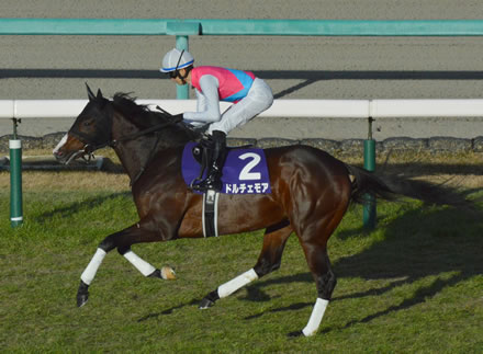 G1馬ドルチェモアがついに引退