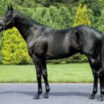 コントレイル、今週1-2-0-1で新種牡馬リーディング1位に躍り出る