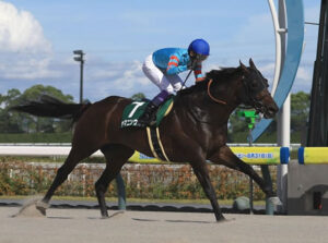 【東海S】ヤマニンウルス復活wwww