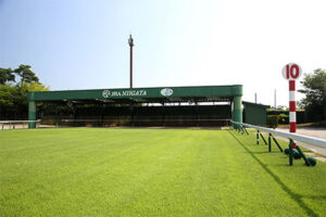 JRA暑熱対策、15:01中京5Rと15:10新潟5Rの気温が低い根拠を示せ