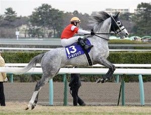【競馬/中山記念】サトノアレスとはなんだったのか…