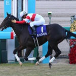 【2歳新馬】ダノンプレミアム産駒初勝利
