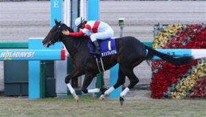 【2歳新馬】ダノンプレミアム産駒初勝利