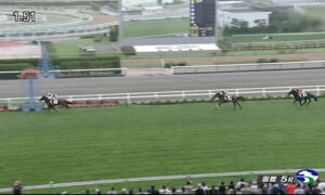 【2歳新馬】ショウナンガルフ強すぎワロタ