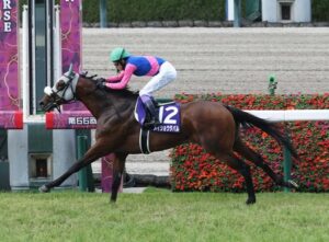 武豊「メイショウタバルで凱旋門賞に行きたい」