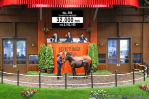 ショウナン国本氏、キズナ産駒3億2000万円「この馬が僕の夢をかなえてくれる」