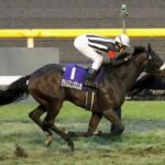 【2歳新馬】カレンブーケドールの初仔ハムタンが明日デビュー