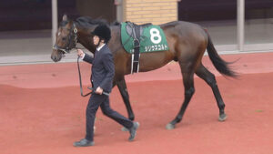 【競馬予想】[1]第61回七夕賞(GⅢ) /2025