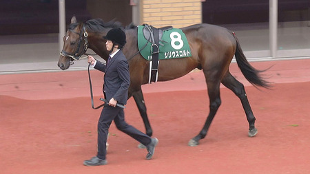 【競馬予想】[1]第61回七夕賞(GⅢ) /2025